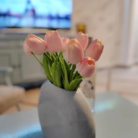 Apartman Nora 1